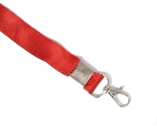 ABHA PRINT® Clear Hard Plastic Vertical Name Tag Holder – 24mm Lanyard Badge Clip | Office, School & Business - Image 6